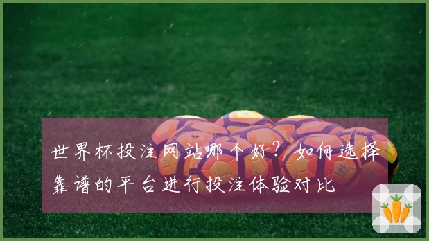 世界杯投注网站哪个好？如何选择靠谱的平台进行投注体验对比