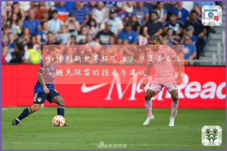 如何判断世界杯下注入口是否合法？避免踩雷的指南与建议