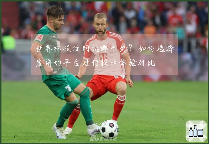 世界杯投注网站哪个好？如何选择靠谱的平台进行投注体验对比