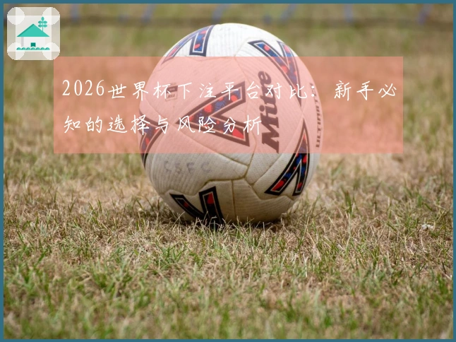 2026世界杯下注平台对比：新手必知的选择与风险分析